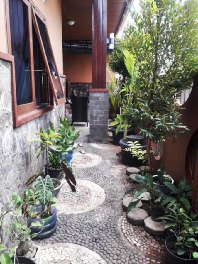 Mocca Guest House Banyuwangi  Exterior photo